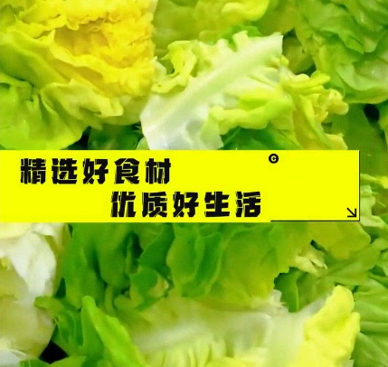 工厂车间食材加工展示