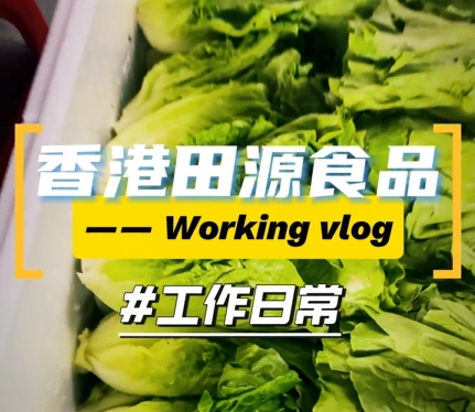 员工车间工作日常